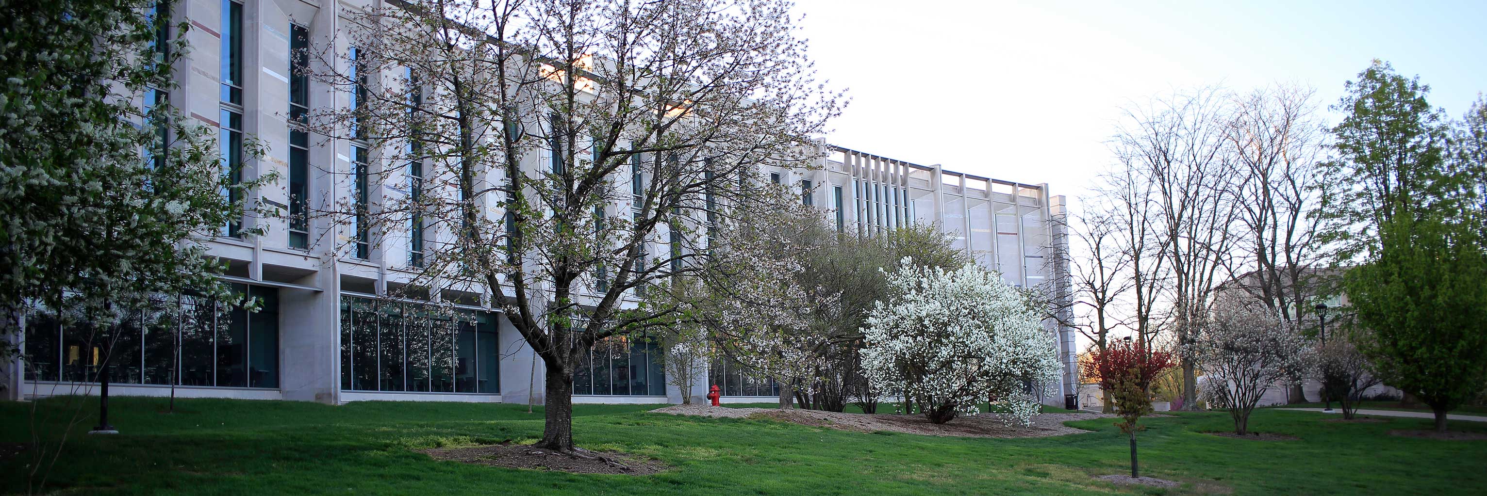 A photo of the SGIS Building, with springtime blooms around it.